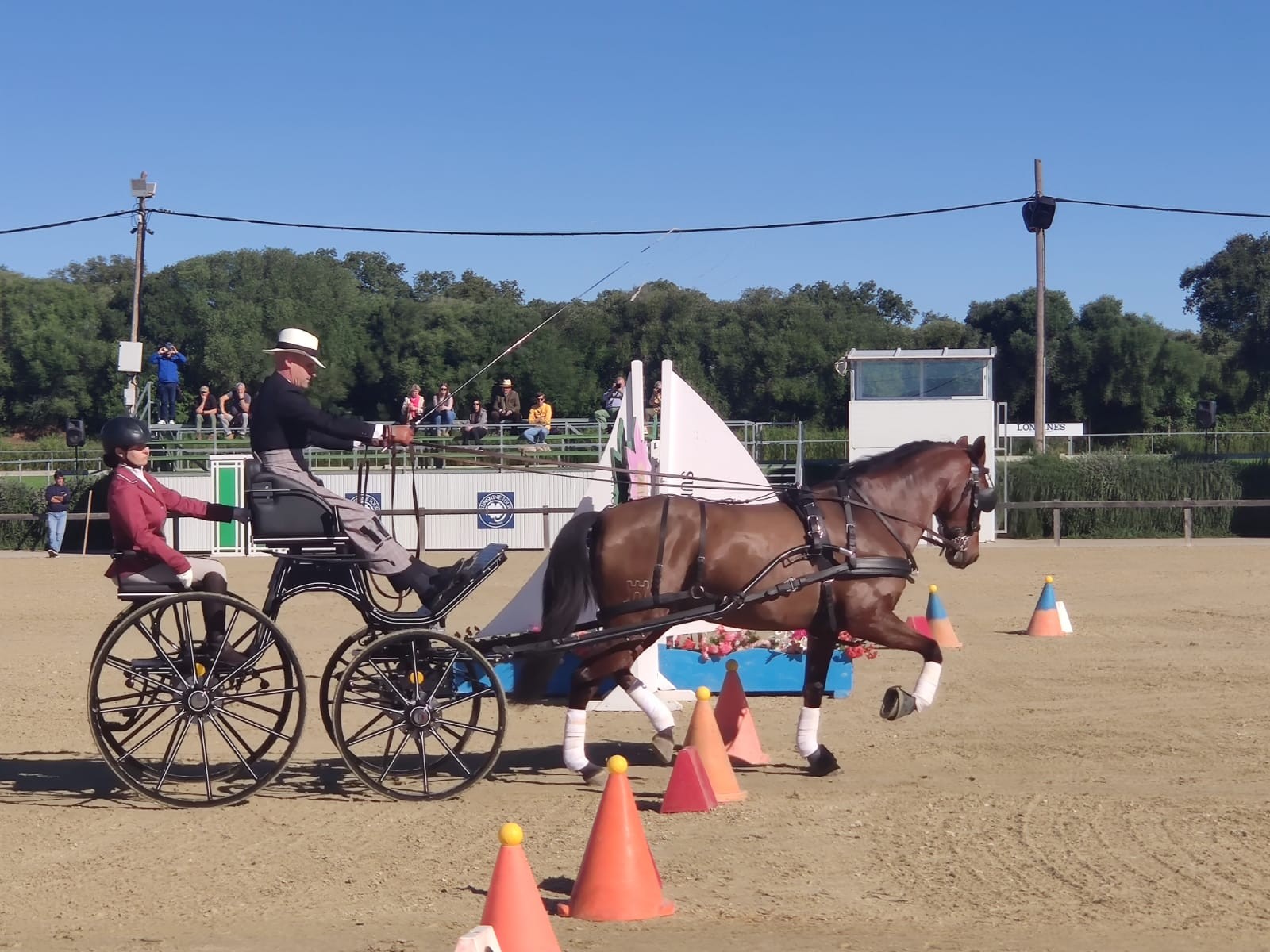 Triple podio navarro en la Copa Iberica FEI de Enganches
